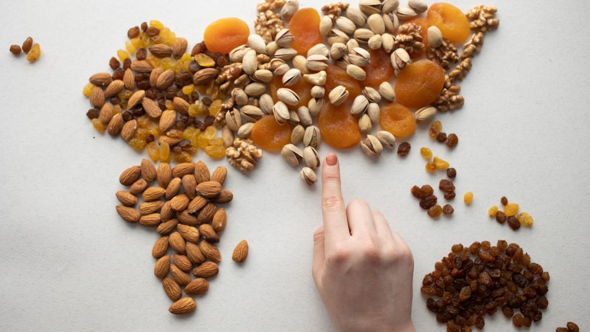 Artistic world map crafted with nuts and dried fruits, displaying a hand touching Europe.